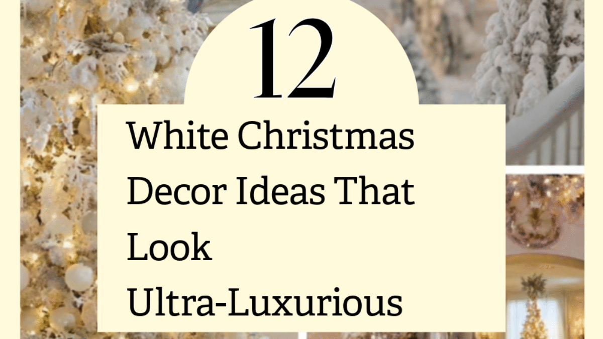 Untitled-8 - 2025-10-10T143621.325