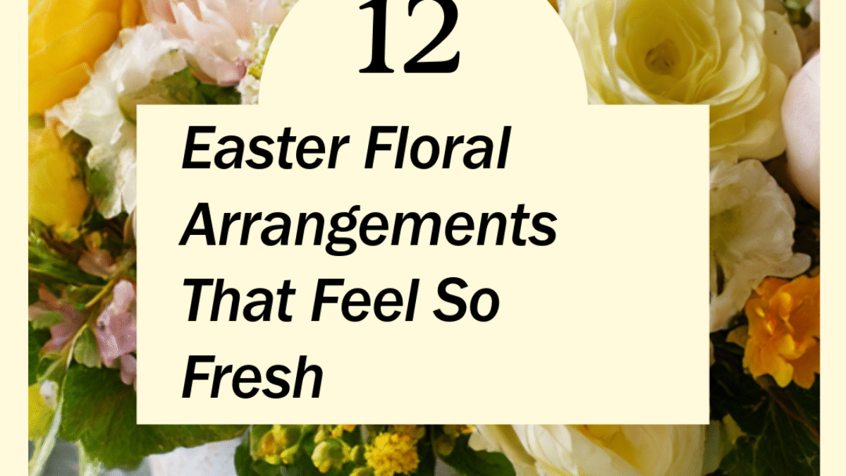 Untitled-8 - 2026-03-19T120754.279