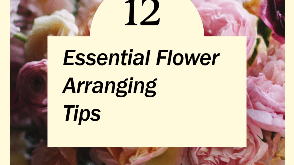 Untitled-8 - 2026-03-19T122726.848